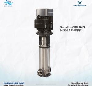 Grundfos CRN 10-22
